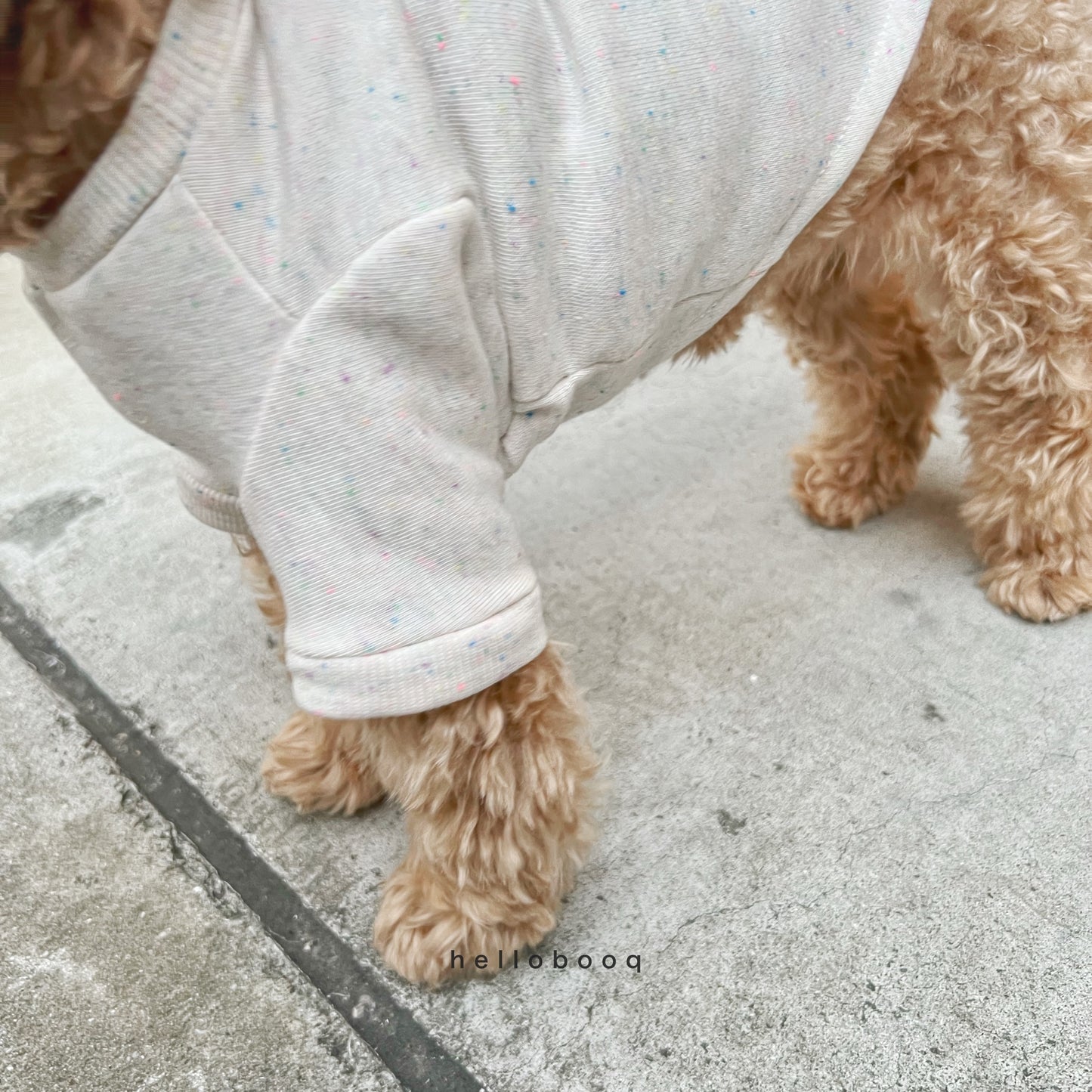 【 受注販売 】nefu mtm for dog / 9月中旬-下旬発送予定