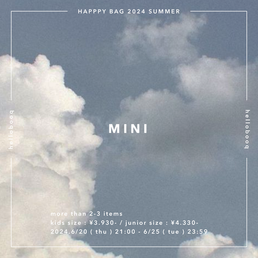 【 mini 】nomal happy bag 2024 summer